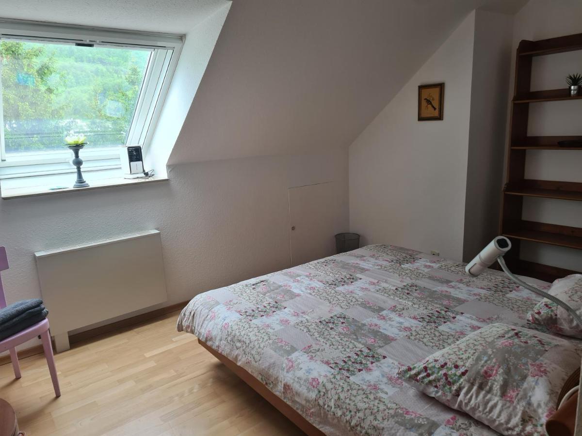 Appartement Paradiso Busingen am Hochrhein Exteriör bild